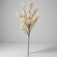 Bungalow kunstig blomst - Ruscus, Creme